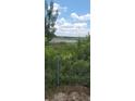 Beautiful marsh view with lush greenery and a blue sky, perfect for nature lovers at 1717 Se 190Th Ave, Silver Springs, FL 34488
