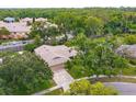 Aerial view of a home with mature trees and lush landscaping in a quiet neighborhood at 4739 Indian Gap Dr, Orlando, FL 32812