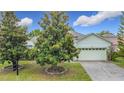 Well-maintained home exterior with mature trees enhancing curb appeal at 451 Acacia Tree Way, Kissimmee, FL 34758