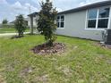 Landscaped yard featuring young trees accented by mulch and providing shade to the property at 1345 Griffon Ave, Lake Alfred, FL 33850