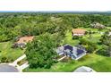 Elevated view capturing the home's solar panels, lush lawn, and tranquil setting amongst mature trees at 5311 Saddleback Ct, Lady Lake, FL 32159