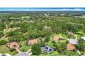 Expansive aerial view showcasing the property's serene setting nestled amongst lush trees and greenery at 5311 Saddleback Ct, Lady Lake, FL 32159