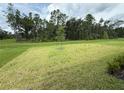 Expansive backyard view showcasing ample green space perfect for outdoor activities and relaxation at 368 Birkdale Dr, Daytona Beach, FL 32124