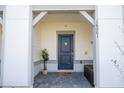 Stylish front door with a dark blue finish, modern hardware, and a welcoming entrance at 16061 Blue Wave Way, Clermont, FL 34714