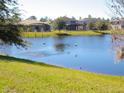 Picturesque view of the lake with ducks swimming in the water at 9034 Paolos Place Paolos Place, Kissimmee, FL 34747