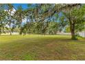 Large grassy backyard with mature tree, offering shade and a tranquil setting at 9329 7Th Ave, Orlando, FL 32824