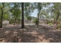 Large, private backyard with mature trees, pool, and storage shed at 1425 Mt Laurel Dr, Winter Springs, FL 32708