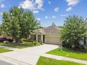 Beautiful one-story home with a well-manicured lawn, complemented by mature trees and a spacious driveway at 2409 Martins Run, Tavares, FL 32778