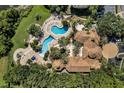 Aerial view of a luxurious swimming pool and sun deck with palm trees at 1400 Lake Shadow Cir # 10104, Maitland, FL 32751