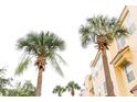 Shot of palm trees next to the exterior of the townhomes in this community at 8024 Cool Breeze Dr # 132, Orlando, FL 32819
