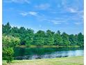 Scenic view of a tranquil pond surrounded by lush green trees under a clear blue sky at 535 Aeolian Dr, New Smyrna Beach, FL 32168
