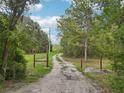 Long, gated driveway through lush greenery and trees, providing privacy and seclusion at 1235 Arapaho Trl, Geneva, FL 32732