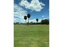 Expansive golf course view featuring well-manicured greens and scattered palm trees under a bright, partly cloudy sky at 2826 Osprey Cove Pl # 103, Kissimmee, FL 34746