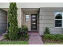 Contemporary front door with brick walkway, stone accents, and lush landscaping at 10108 Sunnifa Aly, Orlando, FL 32832