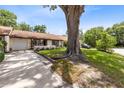 Property showcasing large tree, driveway and a well-maintained front lawn at 102 Sand Pine Cir, Sanford, FL 32773