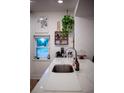 Bright, clean kitchen with quartz countertops, stainless faucet, and decorative hanging plants at 112 Avocado Ave, Sanford, FL 32771