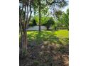 Expansive backyard featuring lush green grass, mature trees, privacy fence, and bench at 1791 Iroquois Dr, Apopka, FL 32703