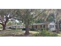 Exterior view of single-story house with covered parking, green lawn, and trees draped with spanish moss at 401 Sunny Ct, Fruitland Park, FL 34731