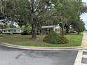 Serene residential street featuring cozy single-story homes and mature trees draped with Spanish moss at 401 Sunny Ct, Fruitland Park, FL 34731