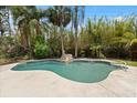 Inviting backyard pool surrounded by lush landscaping and a relaxing atmosphere at 119 Glendale Dr, Longwood, FL 32750