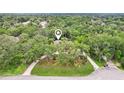 Captivating aerial view showcases a private home nestled amidst a canopy of lush greenery at 5836 Spruce Creek Woods Dr, Port Orange, FL 32127