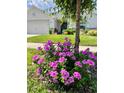 Lush pink flowers in the garden highlight the charm of the house in the background at 7 Polermo Ave, St Cloud, FL 34771