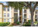 Condo building with tan and white exterior, screened balconies, and mature tree providing shade at 1125 Lake Shadow Cir # 5308, Maitland, FL 32751