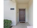 Close-up of the home's entryway shows a solid brown door, address number, and manicured landscaping at 4895 Clock Tower Dr, Kissimmee, FL 34746
