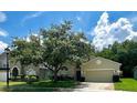 Single-Gathering home with a well-manicured lawn and mature tree in the front yard at 500 Wellesly St, Oviedo, FL 32765