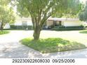 Charming home nestled behind a mature tree, showcasing a spacious driveway and front lawn at 209 Wilmer Ave, Orlando, FL 32811