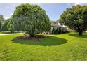 Large backyard featuring lush green grass and mature trees, perfect for outdoor activities and relaxation at 2334 W Doris St, Kissimmee, FL 34741