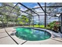 Screened-in pool with a clean, refreshing view of the backyard at 1181 Pine Ln, St Cloud, FL 34771