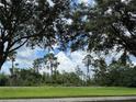 Scenic backyard view featuring mature trees and lush greenery at 12359 Langstaff Dr, Windermere, FL 34786