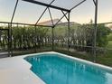 Relaxing screened-in pool with white concrete patio surrounded by lush greenery at 2505 Osprey Creek Ct, Kissimmee, FL 34747