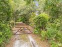 Gated driveway through lush greenery and mature trees at 32125 Okaloosa Trl, Sorrento, FL 32776