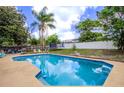 Inviting backyard oasis with a sparkling blue pool, surrounded by lush greenery and privacy fence at 2005 Dalton Ave, Deltona, FL 32725