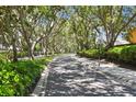 Scenic street lined with mature trees, offering a tranquil and shaded driving experience at 1936 Westpointe Cir, Orlando, FL 32835