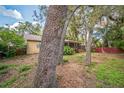 Secluded backyard with mature trees and foliage and a screened in patio area at 4799 Lighthouse Rd, Orlando, FL 32808