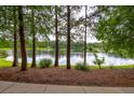 Picturesque pond view framed by mature trees, offering a serene and natural backdrop at 14128 Avenue Of The Grvs, Winter Garden, FL 34787