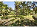Large, grassy backyard shaded by mature trees at 600 Plum Ln, Altamonte Springs, FL 32701
