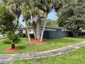 A quaint home with a green lawn and palm trees at 1310 Briarwood Ave, Deltona, FL 32725