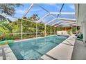 Relaxing screened in pool with clear blue water, surrounded by white patio, and beautiful green scenery at 443 Magpie Ct, Poinciana, FL 34759