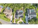 An aerial view of a private backyard oasis featuring a sparkling screened-in pool at 1455 Royal Forest Loop, Lakeland, FL 33811