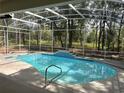 A serene screened-in pool area with a clear blue pool and a view of the surrounding woods at 2313 Park Village Pl, Apopka, FL 32712
