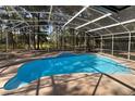Inviting screened-in pool with refreshing blue water surrounded by lush trees at 2313 Park Village Pl, Apopka, FL 32712
