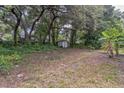 Spacious backyard with lots of mature trees at 1212 N Hudson St, Orlando, FL 32808