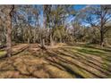 Picturesque view of the lush, tree-filled lot with natural ground cover, ideal for privacy at 63 Lake Wood Cir, Ocala, FL 34482