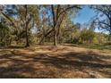 Beautiful, expansive property showcasing mature trees and an open landscape, perfect for building at 63 Lake Wood Cir, Ocala, FL 34482