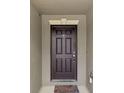Close-up of a dark-brown front door with detailed trim and a decorative knocker, creating a welcoming entrance at 340 Pheasant Dr, Haines City, FL 33844