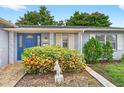 Close-up of a blue front door with vibrant landscaping and decorative shutters at 830 Hawkes Ave, Orlando, FL 32809